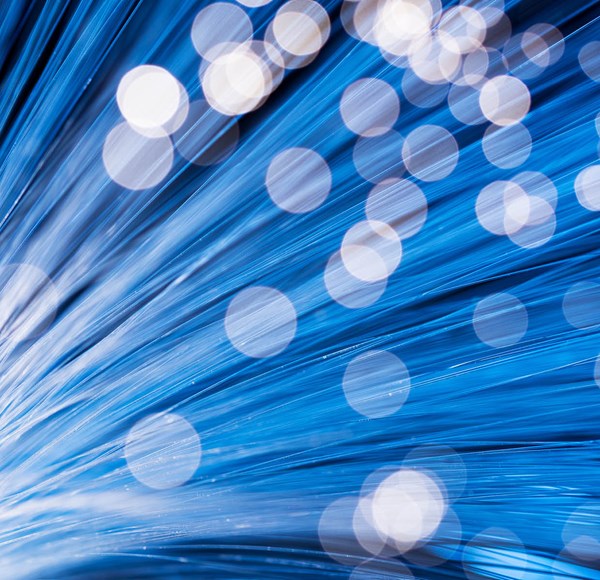 Security Services & Consulting